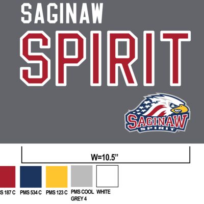 Saginaw Spirit Mixed Media Patch Thumbnail
