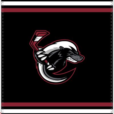 Ice Badgers Sherpa Blanket Thumbnail