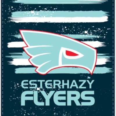Esterhazy Flyers Sherpa Blanket Thumbnail