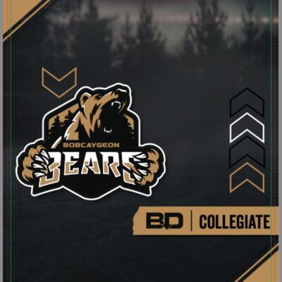 Bobcaygeon Bears Collegiate Fabric Slip Thumbnail