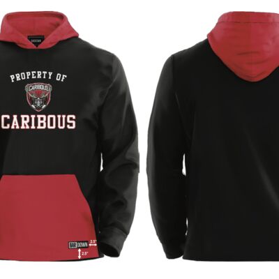 Clarenville Caribous Art Attack Streetwear Hoodie - Youth  Thumbnail