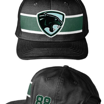 Peninsula Panthers Post Gamer 6 Panel Hat Thumbnail