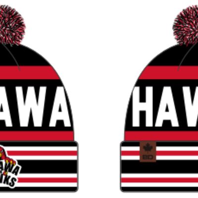 Oshawa OCHL Hawks Classic 3.0 Toque Thumbnail